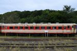 Dcim18034/DSC_6274