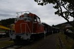 Dcim18035/DSC_6396