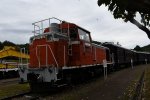 Dcim18035/DSC_6397