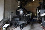 Dcim18035/DSC_6478