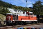 Dcim18035/DSC_6518