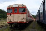 Dcim18038/DSC_6842
