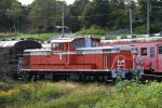 Dcim18039/DSC_6974