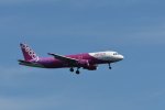 Dcim18044/DSC_7462