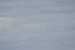 Dcim18046/DSC_7722