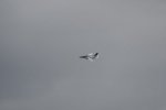 Dcim18047/DSC_7802