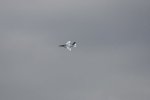 Dcim18047/DSC_7803