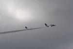 Dcim18047/DSC_7812