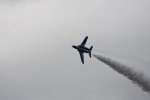 Dcim18047/DSC_7894
