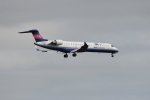 Dcim18048/DSC_7995