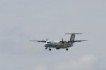Dcim18049/DSC_8129