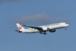 Dcim18050/DSC_8195