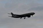 Dcim18050/DSC_8247