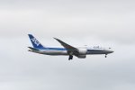 Dcim18050/DSC_8257