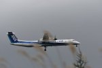 Dcim18050/DSC_8258