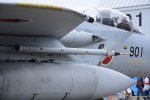 Dcim18054/DSC_6618