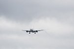 Dcim18057/DSC_8366