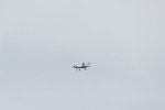 Dcim18058/DSC_8480