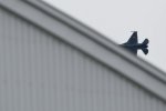 Dcim18060/DSC_8642