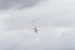 Dcim18060/DSC_8673