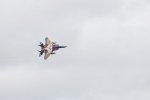 Dcim18060/DSC_8691