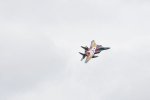 Dcim18060/DSC_8695