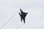 Dcim18060/DSC_8725