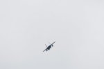 Dcim18060/DSC_8744