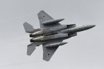 Dcim18061/DSC_8753