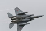Dcim18061/DSC_8754