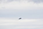 Dcim18061/DSC_8774