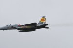 Dcim18061/DSC_8813