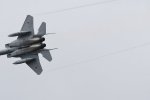 Dcim18061/DSC_8819