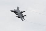 Dcim18063/DSC_9008