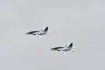 Dcim18064/DSC_9117