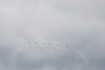 Dcim18064/DSC_9208