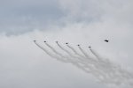 Dcim18064/DSC_9216