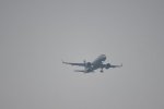 Dcim18065/DSC_9237