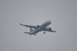 Dcim18065/DSC_9238