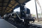 Dcim18071/DSC_7268