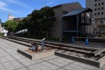 Dcim18075/DSC_0185