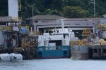 Dcim18079/DSC_7593