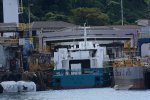 Dcim18079/DSC_7595