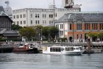 Dcim18083/DSC_0955