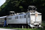 Dcim18087/DSC_1520
