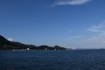 Dcim18087/DSC_1533