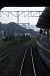 Dcim18087/DSC_1599
