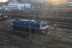 Dcim18087/DSC_1619