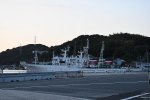 Dcim18087/DSC_1629