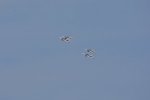 Dcim18088/DSC_7706